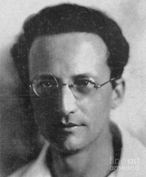 Erwin Schrodinger, Austrian Physicist Photograph