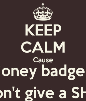 KEEP CALM Cause Honey badger Don't give a SHIT