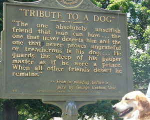 As Americans honor their canine kids during National Dog Week (Sept ...