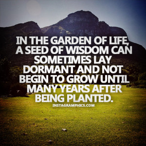 In The Garden Of Life Quote Graphic