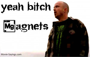 Aaron Paul's quote #4
