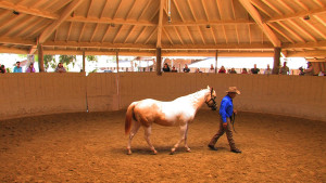 Monty Roberts Join Up