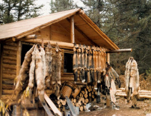 Fur Trapper Cabins