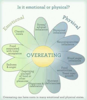 Emotional/ Physical Eating Chart