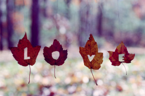 autumn, cute, fall, heart, leaves, love