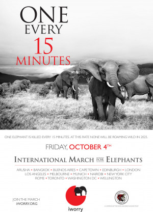 March for elephants then stroll for strays