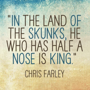 chrisfarley #skunk #king #quotes
