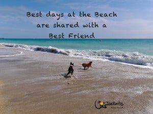 Best days at the Beach are shared with a Best Friend. Beach Quote.