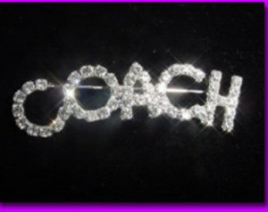 COACH Crystal Pin COACHES Gifts COACH Awards Dance Coach Cheer Coach ...