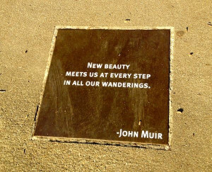 DS_The Best Things_John Muir Quote