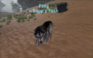 Thread: What Pet class?