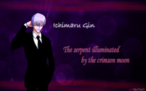 Ichimaru Gin by NaXeL13