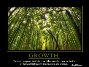 Growth There are no great limits to growth because there are no limits ...