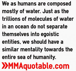 human+beings+oneness+quotes.jpg
