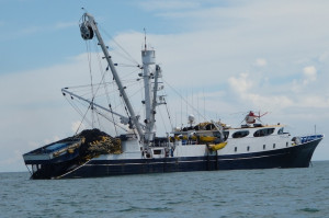 Tuna Fishing Boats for Sale
