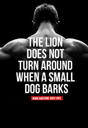 The-lion-does-not-turn-around-when-a-small-dog-barks