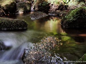 Mountain Stream Desktop