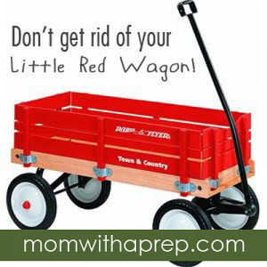 ... of the Story: Don't Give Up Your Little Red Wagon | {Mom with a Prep
