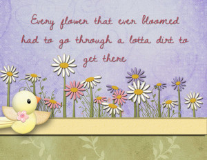 quote me when i saw this quote i knew it had to be used http www ...