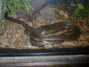 Funny Quotes Contact Dmca...