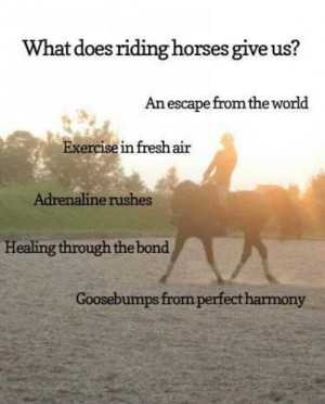 What does riding horses give us