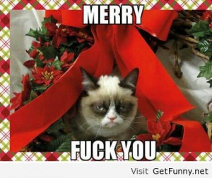 Grumpy cat is ready for Christmas - Funny Pictures, Funny Quotes, F...