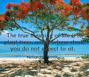 motivational inspirational love life quotes sayings poems poetry pic ...