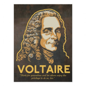 Freedom Of Speech Quotes Voltaire Voltaire quote print
