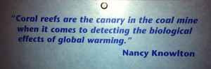 Birch Aquarium - Quotes