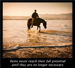 ReinsAnother beautiful picture by @equinoxphoto Tricia Meteer of http ...