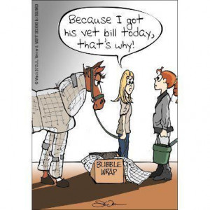 Bubble wrap your horse... cuts down on vet bills. :) #Equine #pets # ...