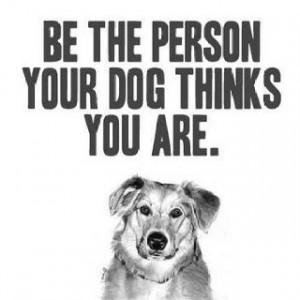 Dog wisdom