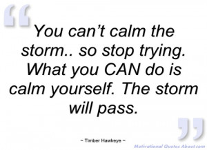 you can’t calm the storm timber hawkeye