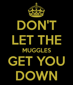 Dont Let The Muggles Get You Down Quote