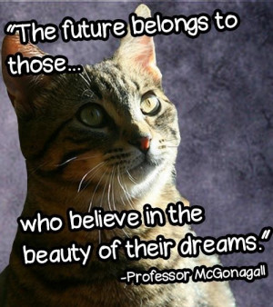 14 Cheesy Senior Quotes From Cats