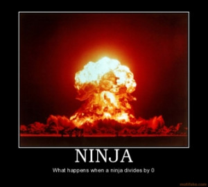 Ninja Motivational Posters on Ninja Ninja Demotivational Poster ...