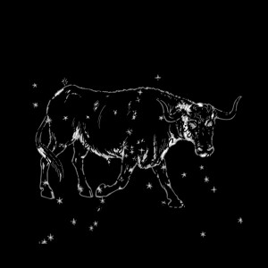 Funny Taurus Birthday Card...