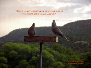 Magick Garden Monsoon 1 Aug 11 The Doves of Peace pamela quote