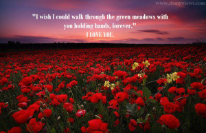 Latest Most Beautiful Red Rose Pictures with Romantic Love Quotes 2013