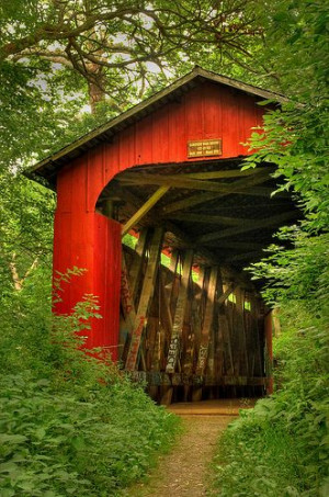 covered bridge | Funny friendship quotes