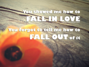 You Showed Me How to Fail In Love ~ Break Up Quote