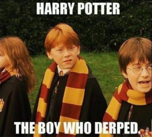 Insulting Harry Potter Memes All Potterheads Will Loathe