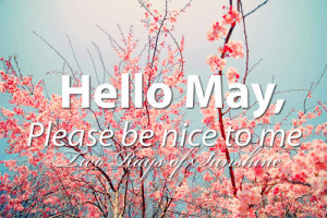 Hello May Quotes