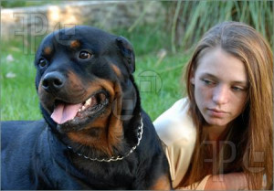 Picture of young woman and her best friend purebred rottweiler