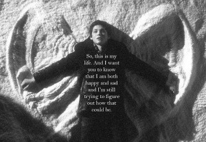 Perks of being a wallflower - I have never cried as much as I did ...