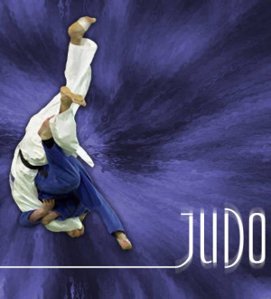Judo Picture