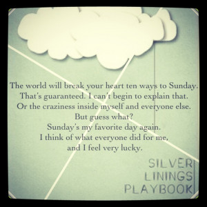 Silver Linings PlaybookSilver Lining Playbook, Silver Line