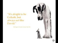 underdog mentality # life # leadership # learning more dogs quotes ...