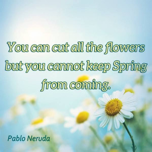 Spring Is Here Quotes