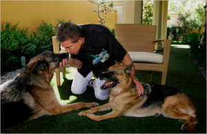 Steve Wynn Pets ( 1 )